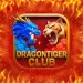 Teen Patti Dragon Tiger Club